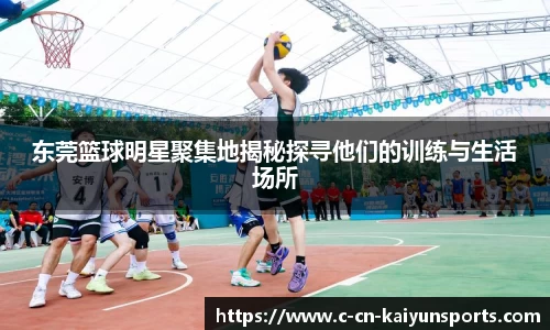 开云官方网站